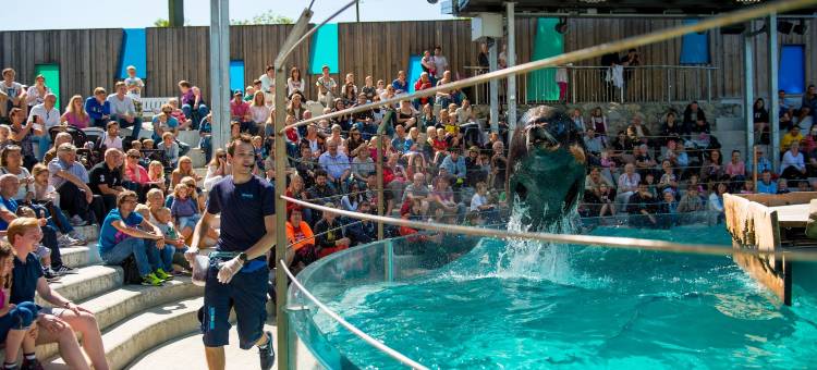 丽笙精选卑尔根索尔海姆斯维根酒店(Prize By Radisson Solheimsviken Bergen)图片