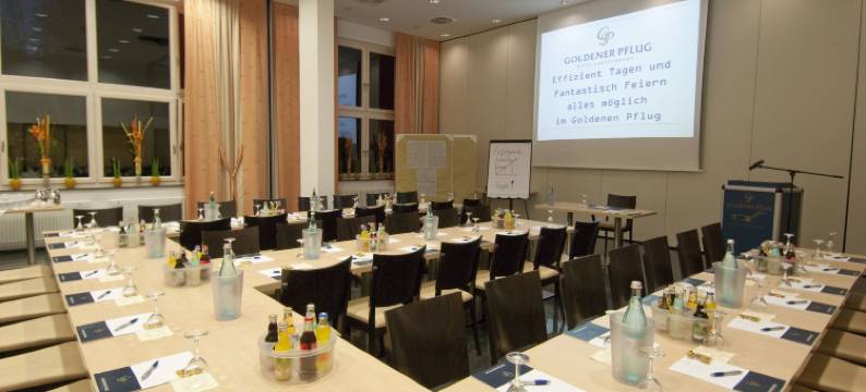 金色弗拉格餐厅酒店(Hotel & Restaurant Goldener Pflug)图片