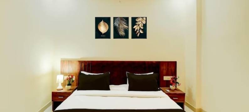 Ballyfin Retreat 酒店(Hotel Ballyfin Retreat)图片