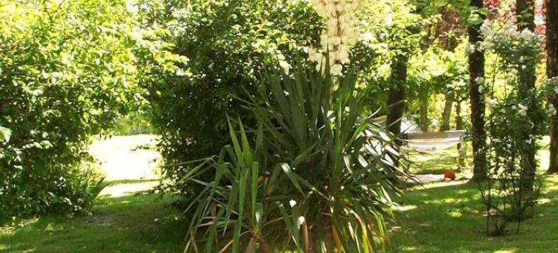 莱多维斯住宿加早餐旅馆(Chambres d'Hôtes les Douves)图片