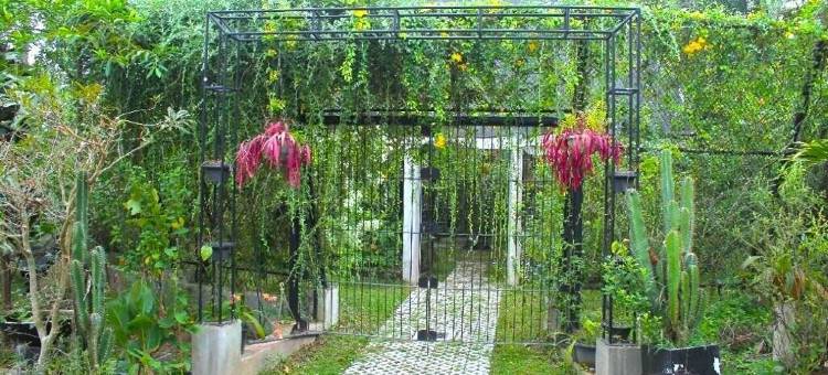 "锡兰国王花园酒店"(Ceylon Kingsmen Garden Hotel - Katunayake)图片