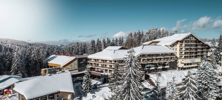 佩雷利克酒店(Perelik Hotel)图片