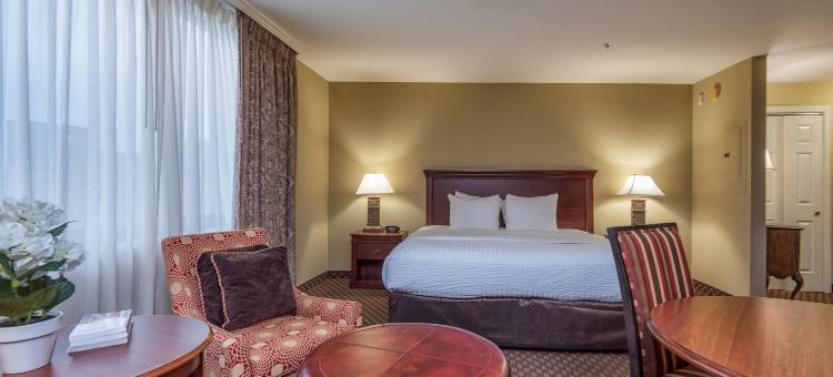 阿灵顿法院套房克拉丽奥精选酒店(Clarion Collection Hotel Arlington Court Suites)图片