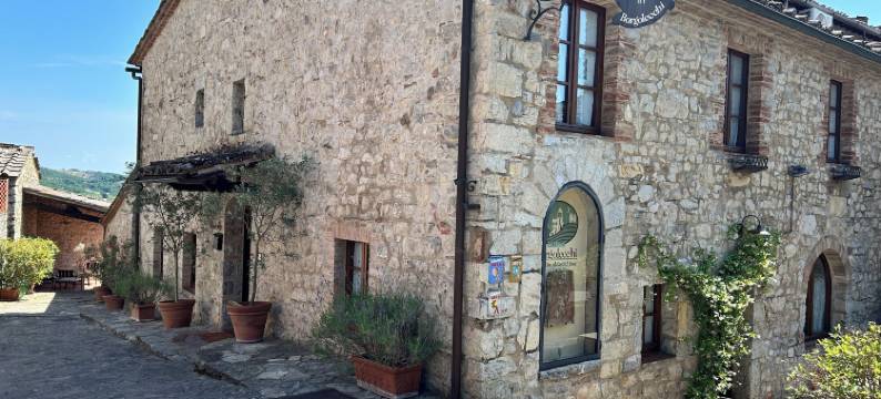 民宿博尔戈莱基(B&B Borgolecchi , Lecchi in Chianti)图片