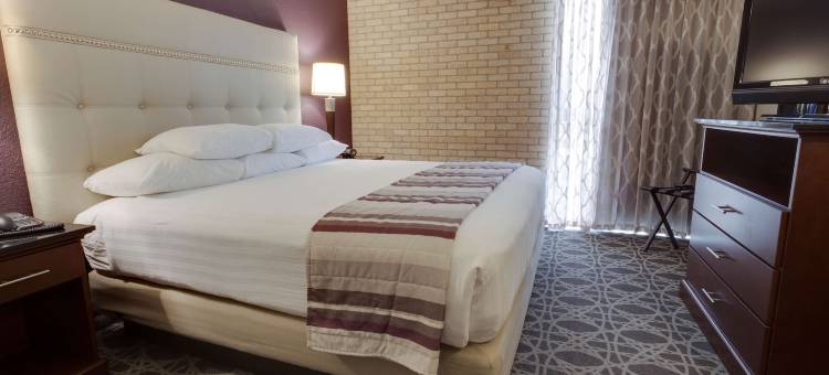 圣安东尼奥东北德鲁里套房酒店(Drury Inn & Suites San Antonio Northeast)图片