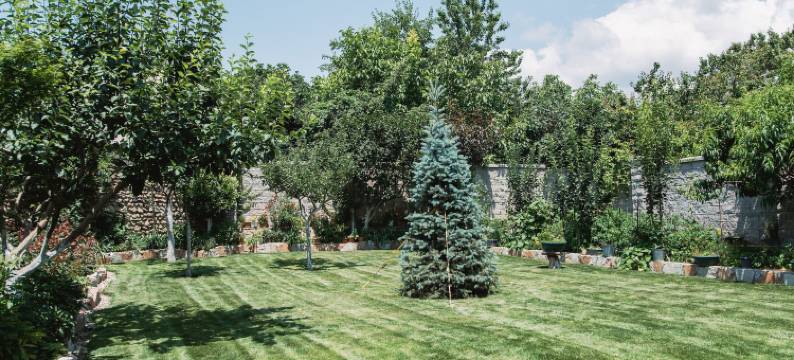 我的格鲁吉亚村庄酒店(My Georgian Village)图片