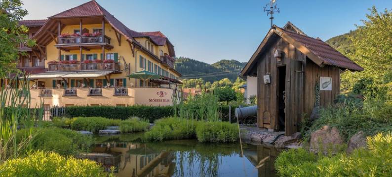 莫瑟斯布鲁姆放松与享受酒店(Mosers Blume Relax & Genuss Hotel)图片