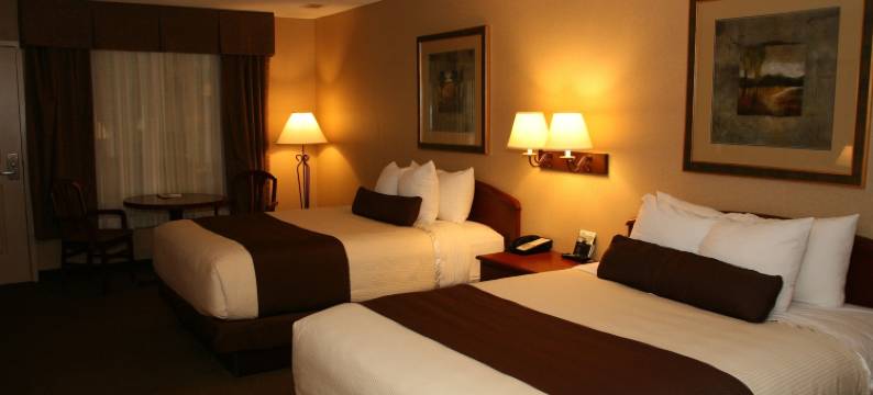 锡夫里弗福尔斯入住酒店(C'Mon Inn)图片