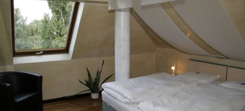 兰格古特维萨施万酒店(Land Gut Hotel Weisser Schwan)图片