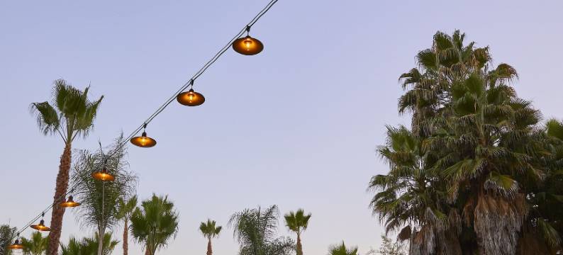 卡普里酒店(The Capri Hotel)图片