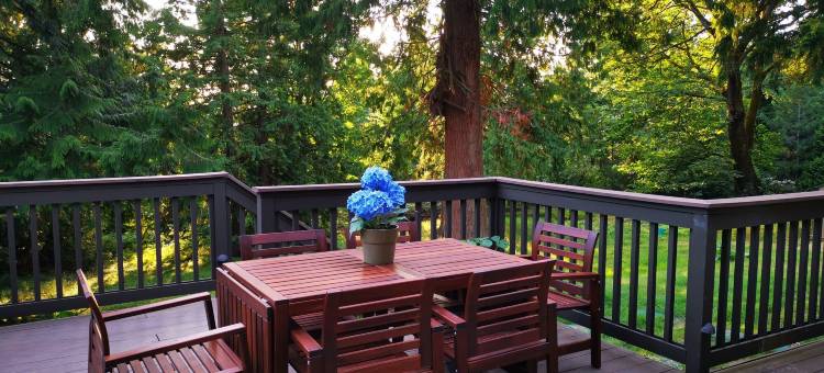 两个森林房间-适合家庭-景观美(The 2 Forest Rooms--Great for Family--and Views)图片