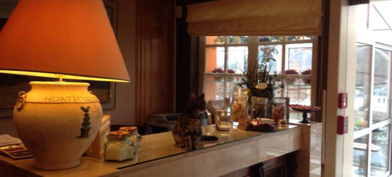 温馨酒店(Hotel Cosy)图片