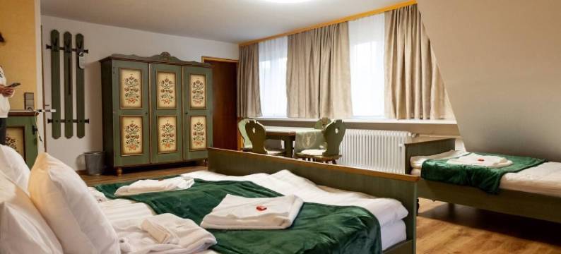 Zum See酒店(Hotel Zum See, Titisee)图片