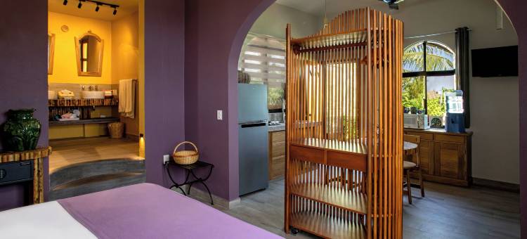 拉哈西恩德套房酒店(Suites la Hacienda)图片