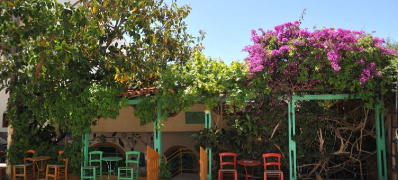 爱罗菲力客房酒店(Erofili Rooms)图片