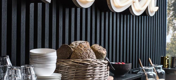 毛里茨霍夫酒店明斯特，Design Hotels成员(Mauritzhof Hotel Münster)图片