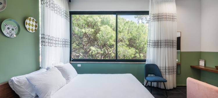 卡梅尔之家酒店(Domus Carmel Hotel)图片