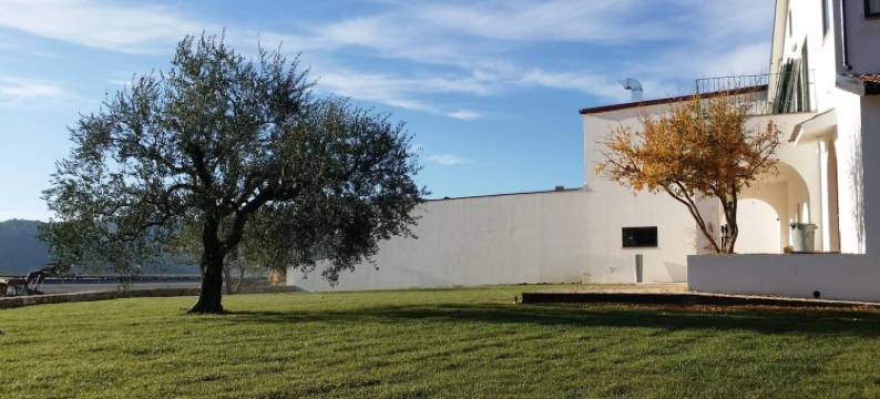 马塞里亚斯特拉吉乌索酒店 - 拉瓦卡里洽(Masseria Straziuso - la Vaccariccia)图片