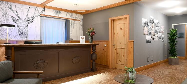 科尔蒂纳丹佩佐撒瓦尔宫丽笙住宅酒店(Radisson Residences Savoia Palace Cortina Dampezzo)图片