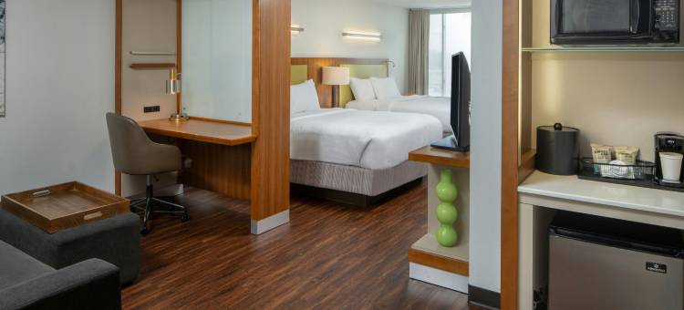 查尔斯湖万豪SpringHill酒店(SpringHill Suites Lake Charles)图片