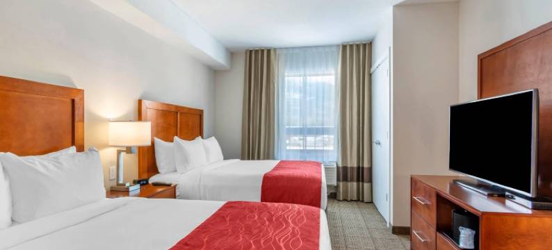 舒适套房酒店(Comfort Inn & Suites)图片