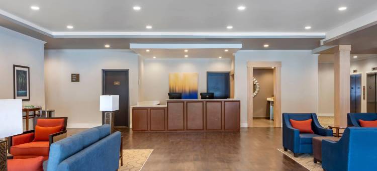 舒适套房酒店(Comfort Inn & Suites)图片