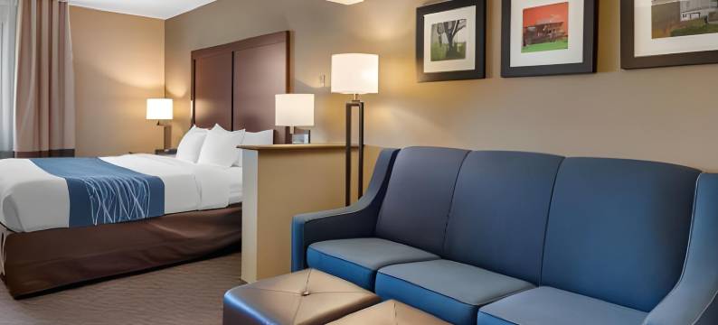 舒适套房酒店(Comfort Inn & Suites Napoleon)图片