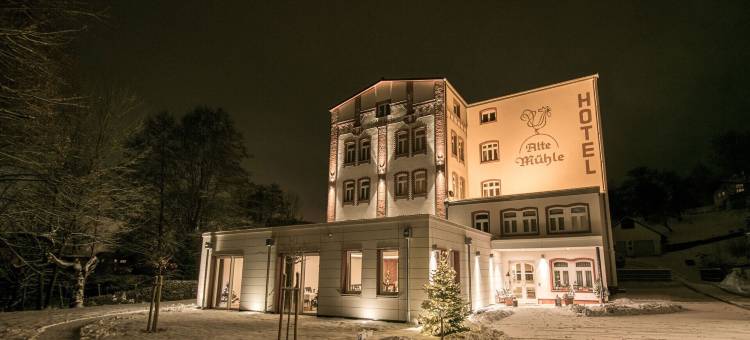 老磨坊餐厅酒店(Alte Mühle Hotel & Restaurant)图片