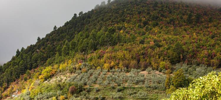 Apartment in Firenzuola near Lake Arezzo图片