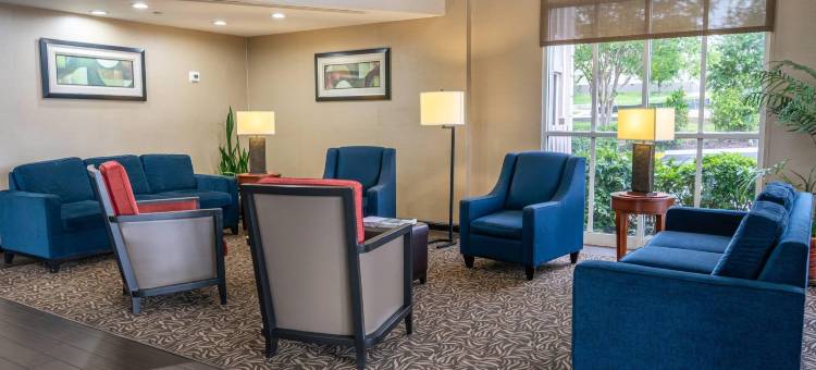 北莱克兰I-4舒适套房酒店(Comfort Inn & Suites Lakeland North I-4)图片