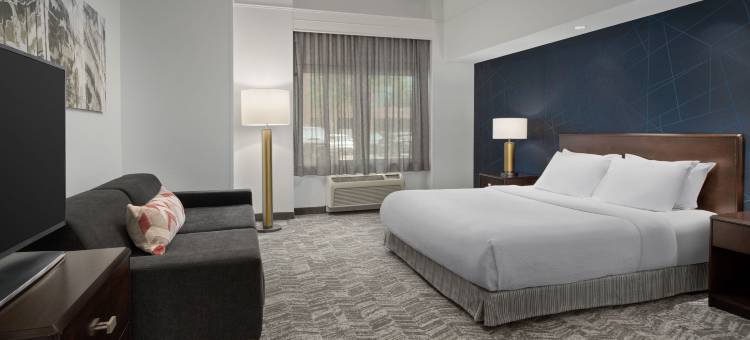 波特兰温哥华万豪SpringHill酒店(SpringHill Suites Portland Vancouver)图片