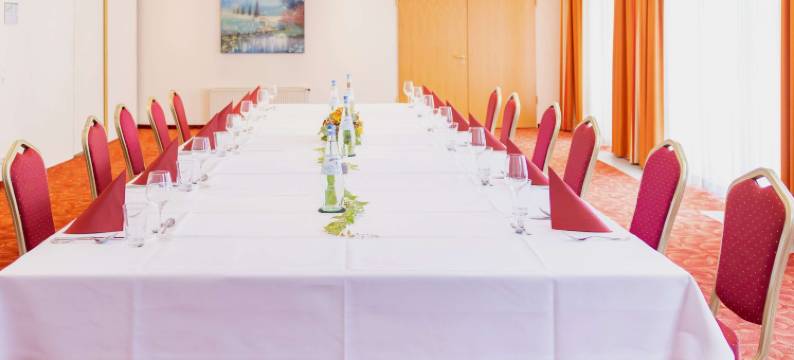 美居马格德堡广场酒店(Mercure Hotel Plaza Magdeburg)图片