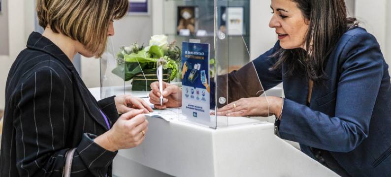 图卢兹中心威尔逊诺富特酒店(Novotel Toulouse Centre Wilson)图片