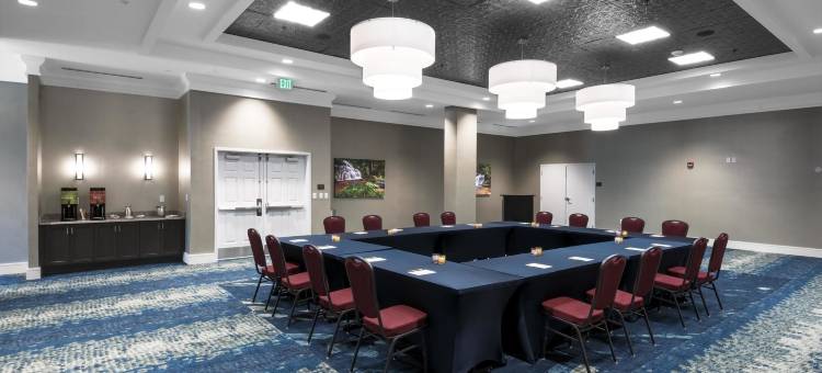 阿什维尔市区希尔顿花园酒店(Hilton Garden Inn Asheville Downtown)图片