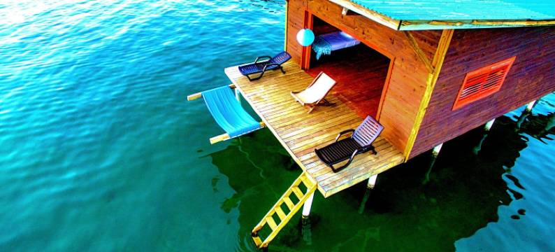 海猴酒店(The Sea Monkey)图片