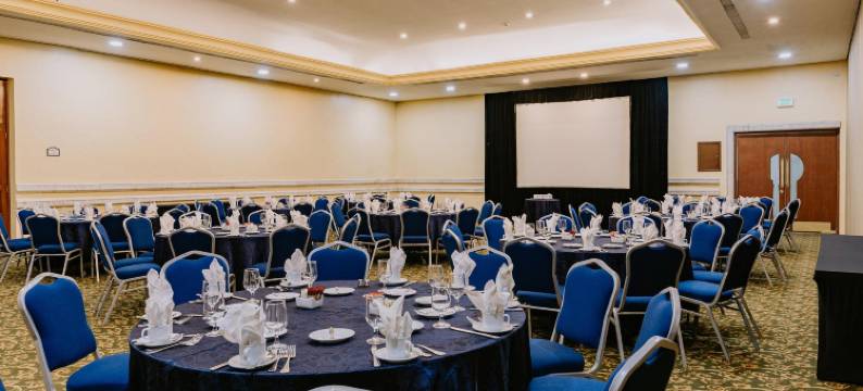 梅尼达假日酒店(Holiday Inn MERIDA by IHG)图片