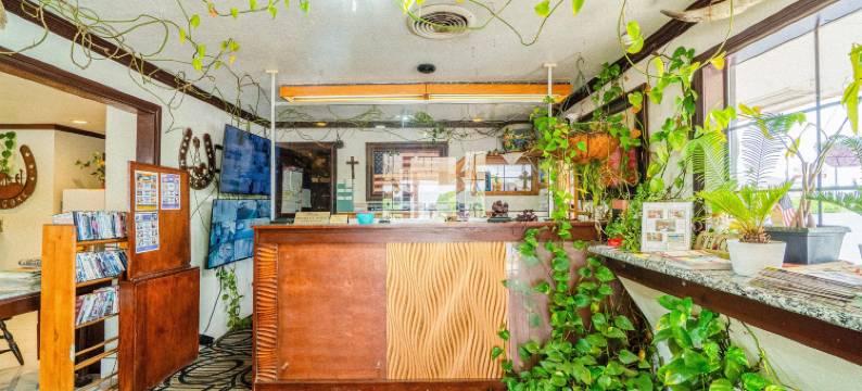 OYO Snyder TX 紫色鼠尾草(Purple Sage by OYO Snyder TX)图片