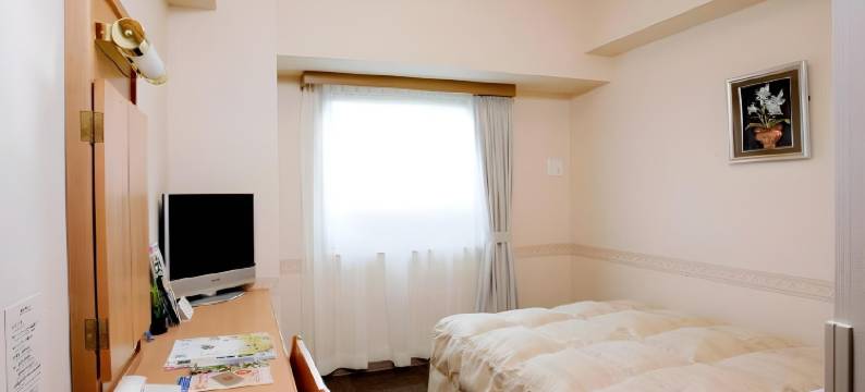 露樱酒店滨松西交流道口店(Hotel Route-Inn Hamamatsu Nishi Inter)图片