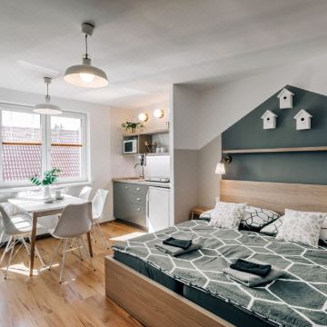 洛克里奇 V 旅馆(Penzion V Roklich & Apartments V Roklich)图片