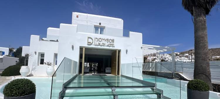狄厄尼索斯酒店(Dionysos Luxury Hotel Mykonos)图片