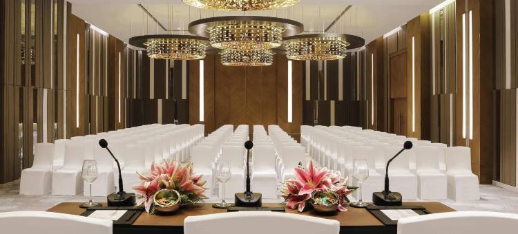 古瓦哈蒂GS路诺富特酒店(Novotel Guwahati GS Road)图片