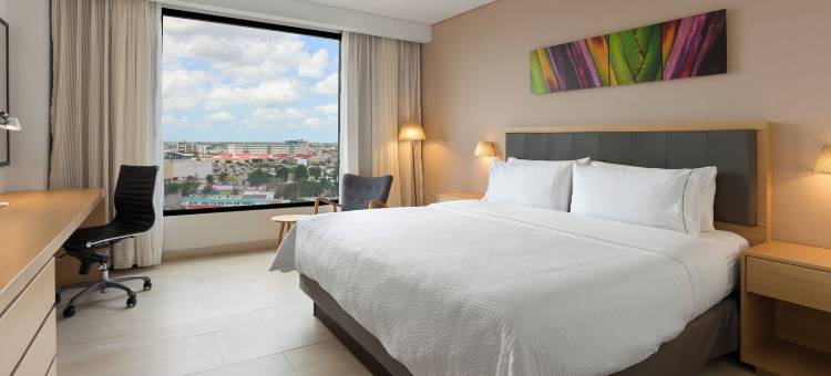节日酒店梅尼达阿尔塔布里萨(Fiesta Inn Mérida Altabrisa)图片