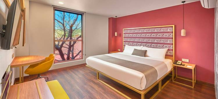 瓦哈卡万豪City Centro酒店(City Centro by Marriott Oaxaca)图片