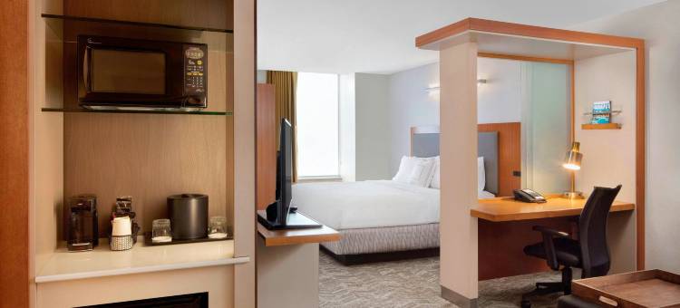 印第安纳波利斯市中心SpringHill套房(SpringHill Suites Indianapolis Downtown)图片