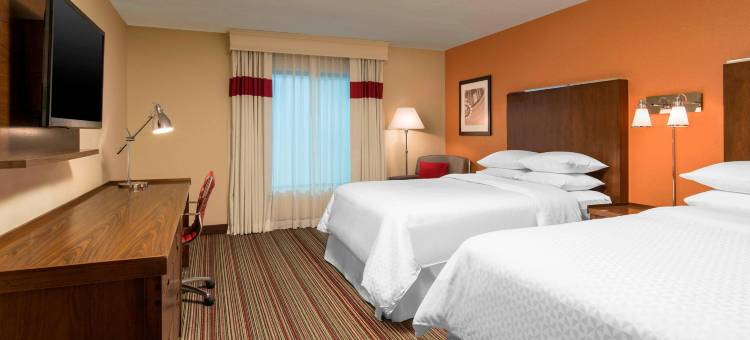 本顿维尔福朋喜来登酒店(Four Points by Sheraton Bentonville)图片