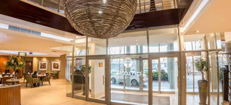城市小屋酒店-比勒陀利亚林恩伍德(City Lodge Hotel Lynnwood)图片