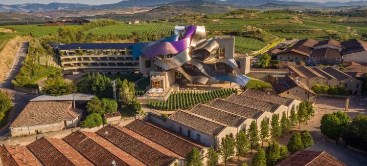 埃尔希耶戈侯爵标志豪华精选酒店(Hotel Marqués de Riscal, a Luxury Collection Hotel, Elciego)图片