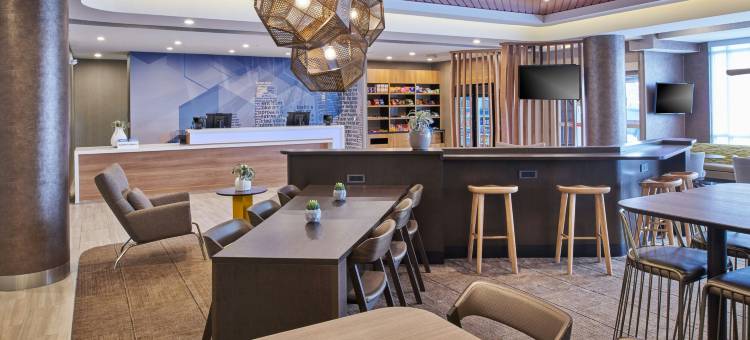 底特律迪尔伯恩SpringHill Suites酒店(SpringHill Suites Detroit Dearborn)图片