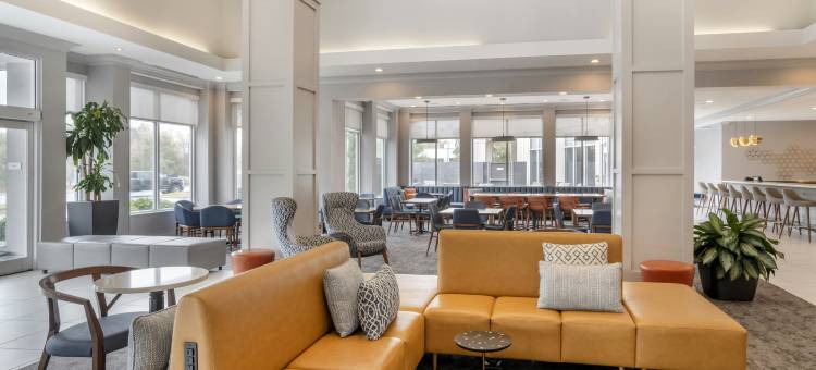 夏洛特康科德希尔顿花园酒店(Hilton Garden Inn Charlotte/Concord)图片