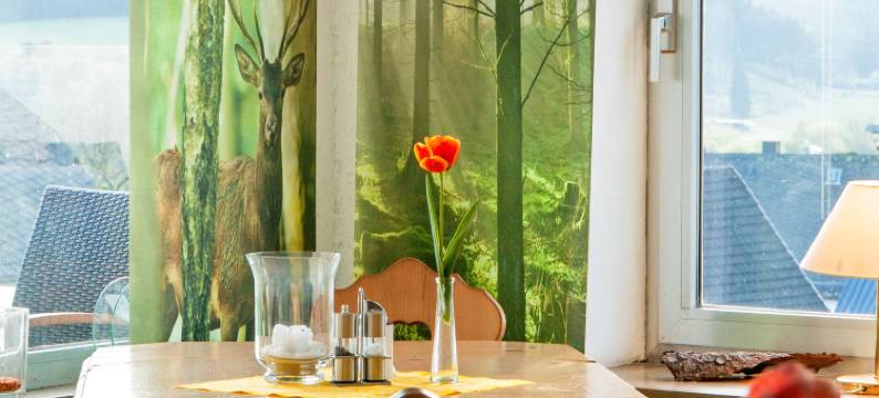 林登霍夫餐厅酒店(Hotel Restaurant Lindenhof)图片